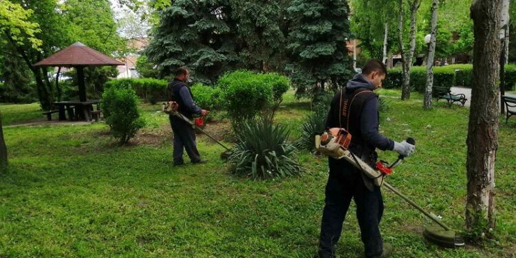 JKP ZELENILO: Redovno održavanje zelenih površina uz pripremu za jesenju sezonu