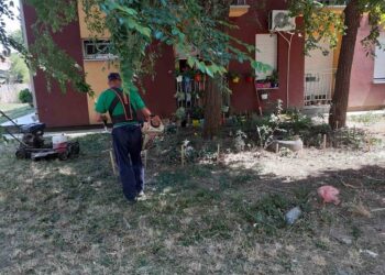 JKP ZELENILO: Košenje zelenih površina u Vojlovici, na tamiškom keju i centru grada
