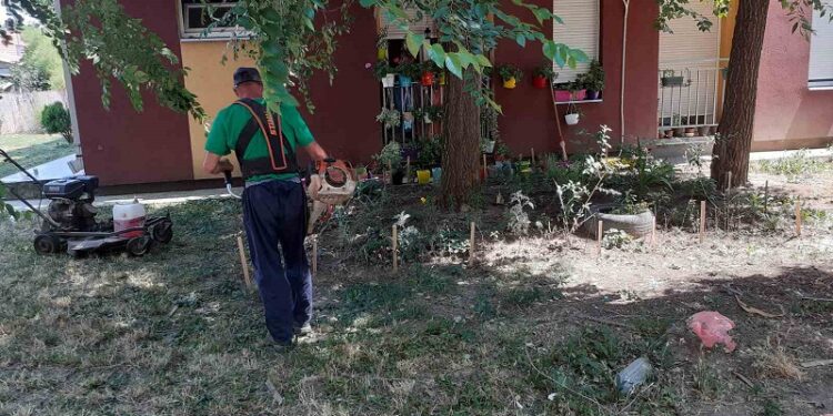 JKP ZELENILO: Košenje zelenih površina u Vojlovici, na tamiškom keju i centru grada