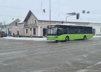 JP Urbanizam: Zimska služba u Pančevu u drugom stepenu pripravnosti zbog snega koji i dalje pada