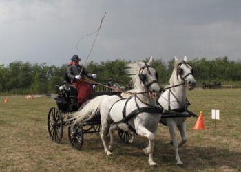 Fijakerijada u Crepaji ove godine po 27. put