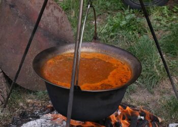 Takmičenje u kuvanju riblje čorbe 29. aprila u Banatskom Brestovcu