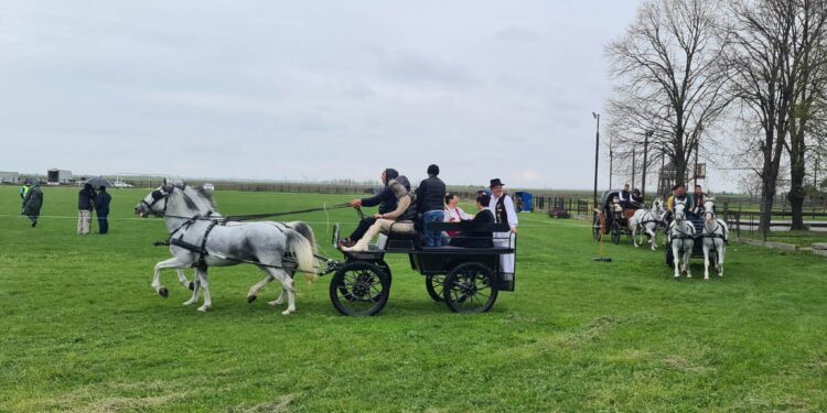 U Crepaji održana 27. smotra paradnih konja i fijakera (FOTO)
