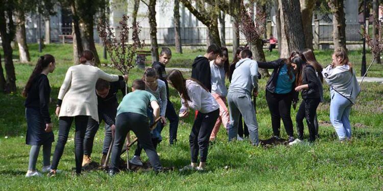 Akcija pošumljavanja vetrozaštitnog pojasa i parkova u Opovu