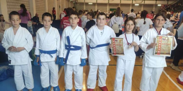 Pet medalja za karatiste KK Kovačica i KK Pančevo na Dunav kupu