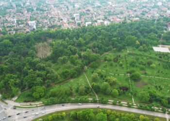 Danas je Evropski dan parkova: Portal Vojvodina uživo o Narodnoj bašti Pančeva (VIDEO)