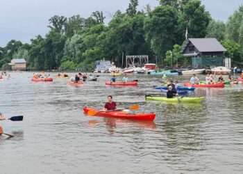 Počela druga Pančevačka regata za kajake i kanue
