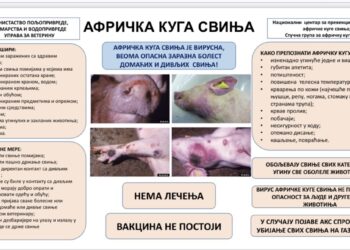 Uprava za veterinu apeluje na uzgajivače svinja