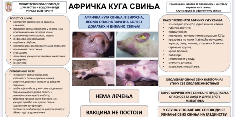 Uprava za veterinu apeluje na uzgajivače svinja