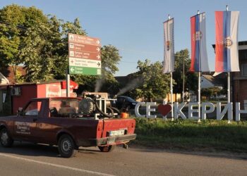 Baranda i Sakule zaražena područja od bolesti afričke kuge svinja