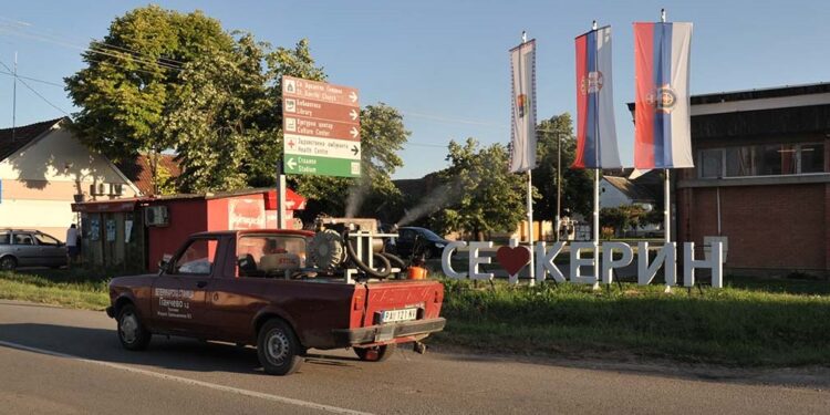 Baranda i Sakule zaražena područja od bolesti afričke kuge svinja