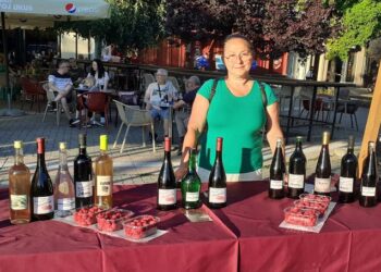 Zlatna medalja sa dolovački kaberne iz 2022. na Vinofestu u Vršcu