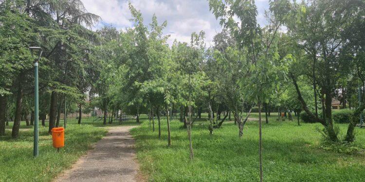 Naredne nedelje u Pančevu očekuje se porast polena ambrozije