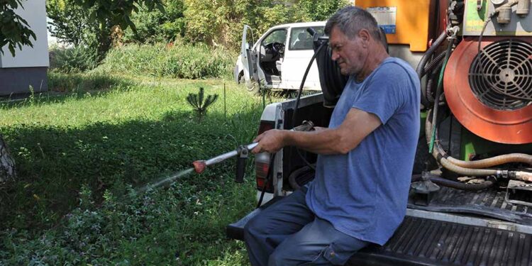 Tretiranje ambrozije na teritoriji Opštine Opovo