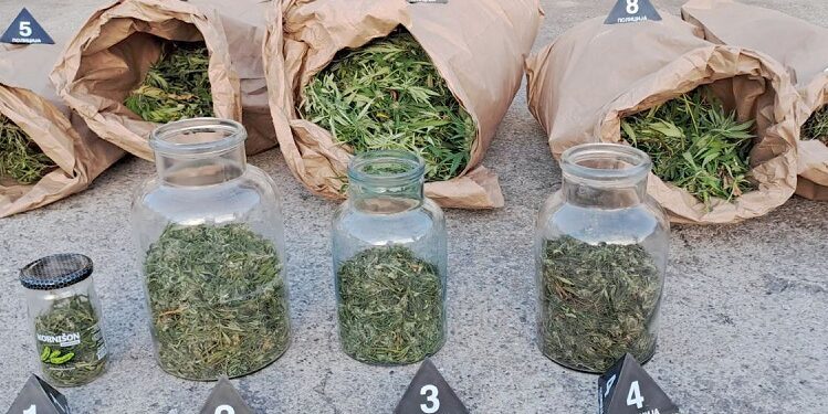 Policija Pančevo: Velika zaplena marihuane u Kovačici