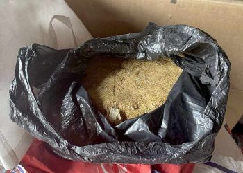 Pančevačka policija pohapsila Kovince