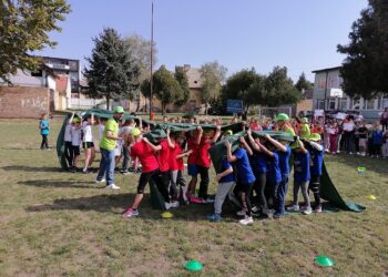 JKP Higijena: „Ko sakupi više, čisto mu se piše“