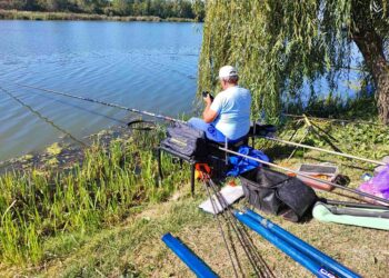 Sportski ribolov: Kovinci najbolji na jezeru Kraljevac u Deliblatu