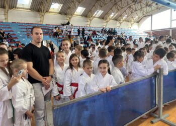 Nove medalje za karatiste Doline