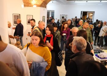 Počeo 53. Salon umetnosti Pančeva „Granice i ostrva”