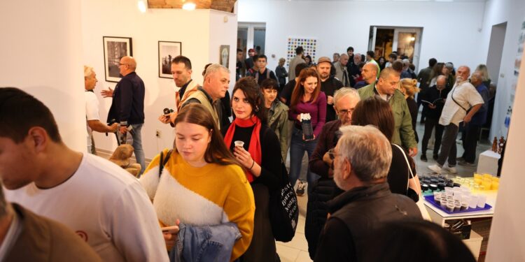 Počeo 53. Salon umetnosti Pančeva „Granice i ostrva”