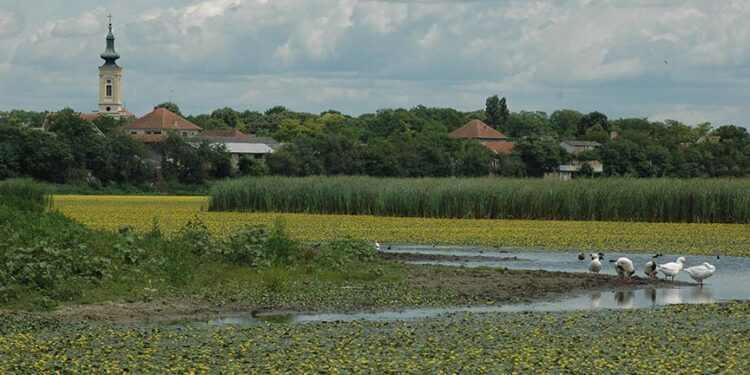 Glas Opova: Potamišje je prirodna arterija srednjeg i južnog Banata