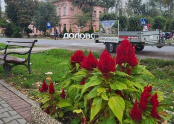 JKP „Dolovi“ Dolovo: Ofarbane klupe, popravljena dečja igrališta