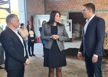 Ministarka Vujović: Za tri godine više od 100 miliona za projekte u Južnom Banatu
