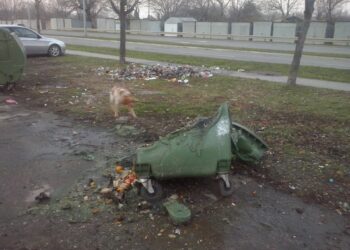 Apel JKP Higijena: Ne bacajte užaren pepeo u plastične kontejnere i kante