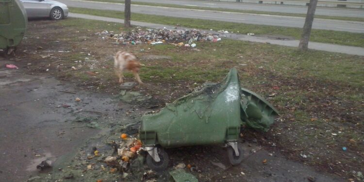 Apel JKP Higijena: Ne bacajte užaren pepeo u plastične kontejnere i kante
