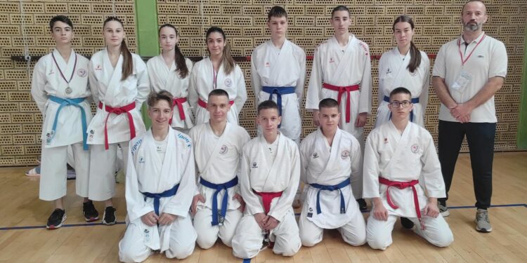 Pet medalja za karatiste Dinama iz Pančeva na Prvenstvu Srbije