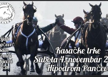 Kasačke konjičke trke u Pančevu 4. novembra na gradskom hipodromu