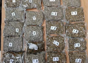 Pančevac i Beograđanin uhapšeni u Kraljevu sa 12 kilograma kanabisa