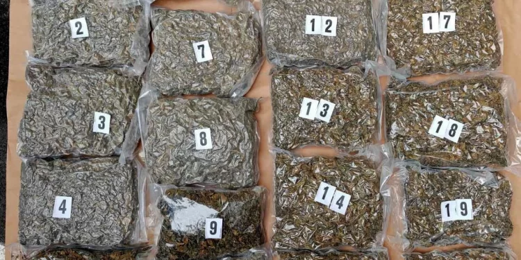 Pančevac i Beograđanin uhapšeni u Kraljevu sa 12 kilograma kanabisa