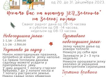JKP zelenilo: Spasite novogodišnju jelku – kupite je sa korenom