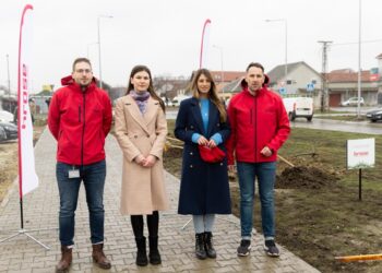 Brose ozelenjava Pančevo: 35 stabala javora za čistiji vazduh i zdraviju planetu
