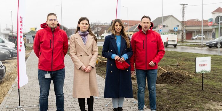 Brose ozelenjava Pančevo: 35 stabala javora za čistiji vazduh i zdraviju planetu