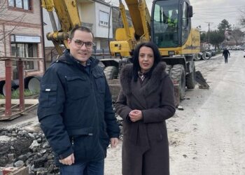Do detalja: Rekonstrukcija ulice Dimitrija Tucovića