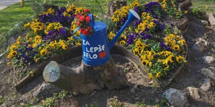 Udruženje „U službi prirode“ ulepšalo Debeljaču
