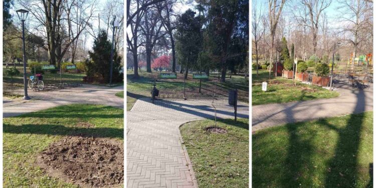 JKP „Zelenilo“ obeležava Svetski dan šuma: Narodna bašta – najvredniji gradski resurs kiseonika