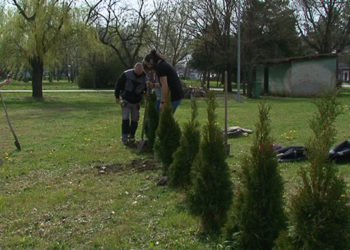 U Kovačici posađeno 250 sadnica
