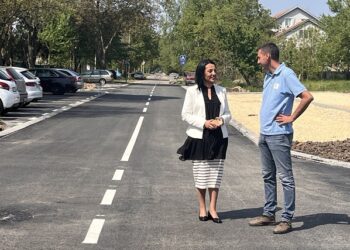 Vitman: Rešen veliki problem stanovnika ulica Stevana Sremca i Ive Andrića