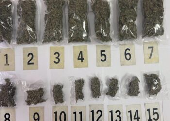 Pančevačka policija zaplenila 1.4 kilograma marihuane u Jabuci