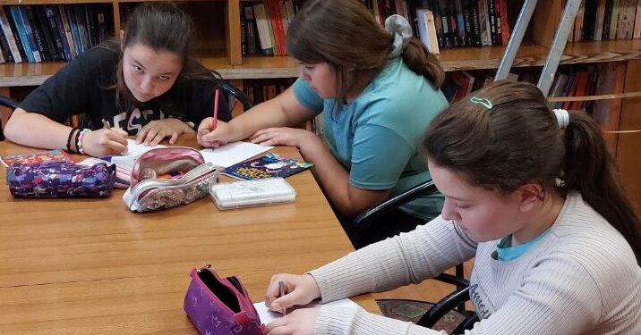 Likovna radionica u ogranku kovinske biblioteke u Gaju