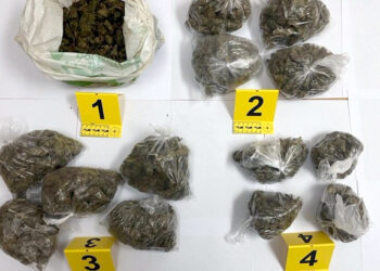Pančevačka policija zaplenila 2.4 kilograma marihuane