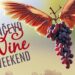 Pančevo Wine Weekend: Prvi vinski festival donosi vrhunska vina, hranu i muziku