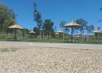JKP Zelenilo Pančevo uređuje plažu na Tamiškom keju