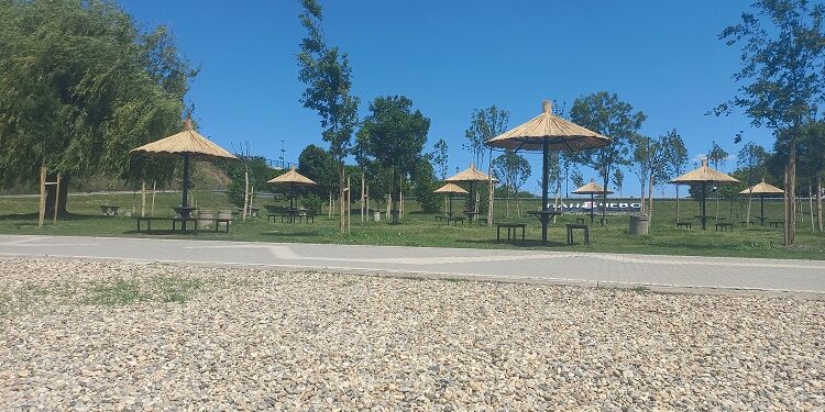 JKP Zelenilo Pančevo uređuje plažu na Tamiškom keju