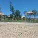 JKP Zelenilo Pančevo uređuje plažu na Tamiškom keju
