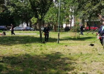 JKP „Zelenilo“ Pančevo: Primarni zadatak uredne javne zelene površine u svim naseljima